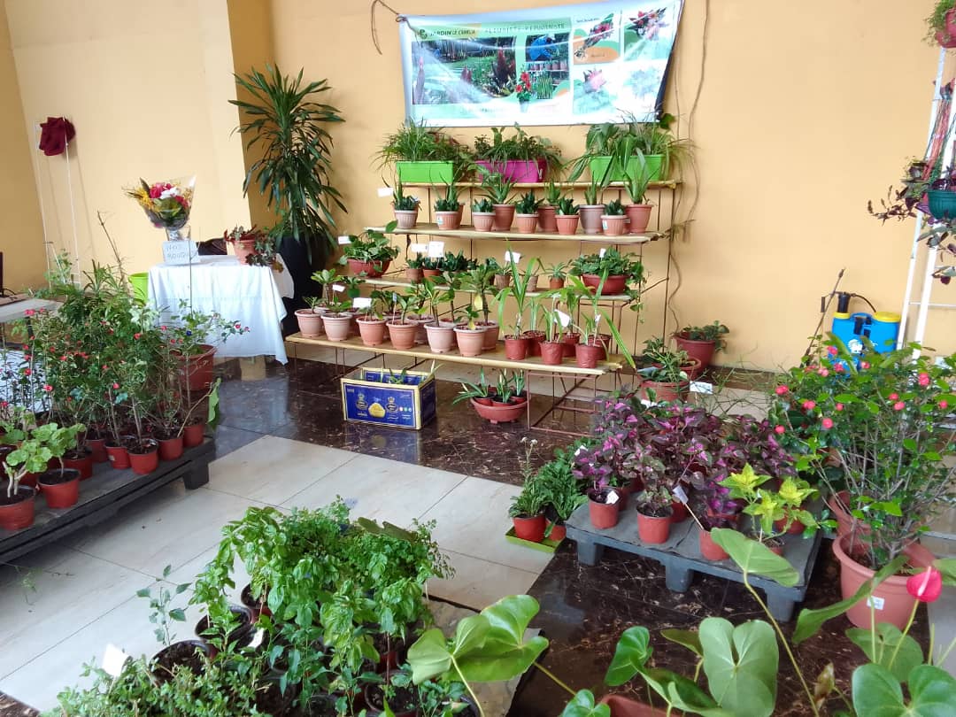 Valoriser l'environnement et les fleurs